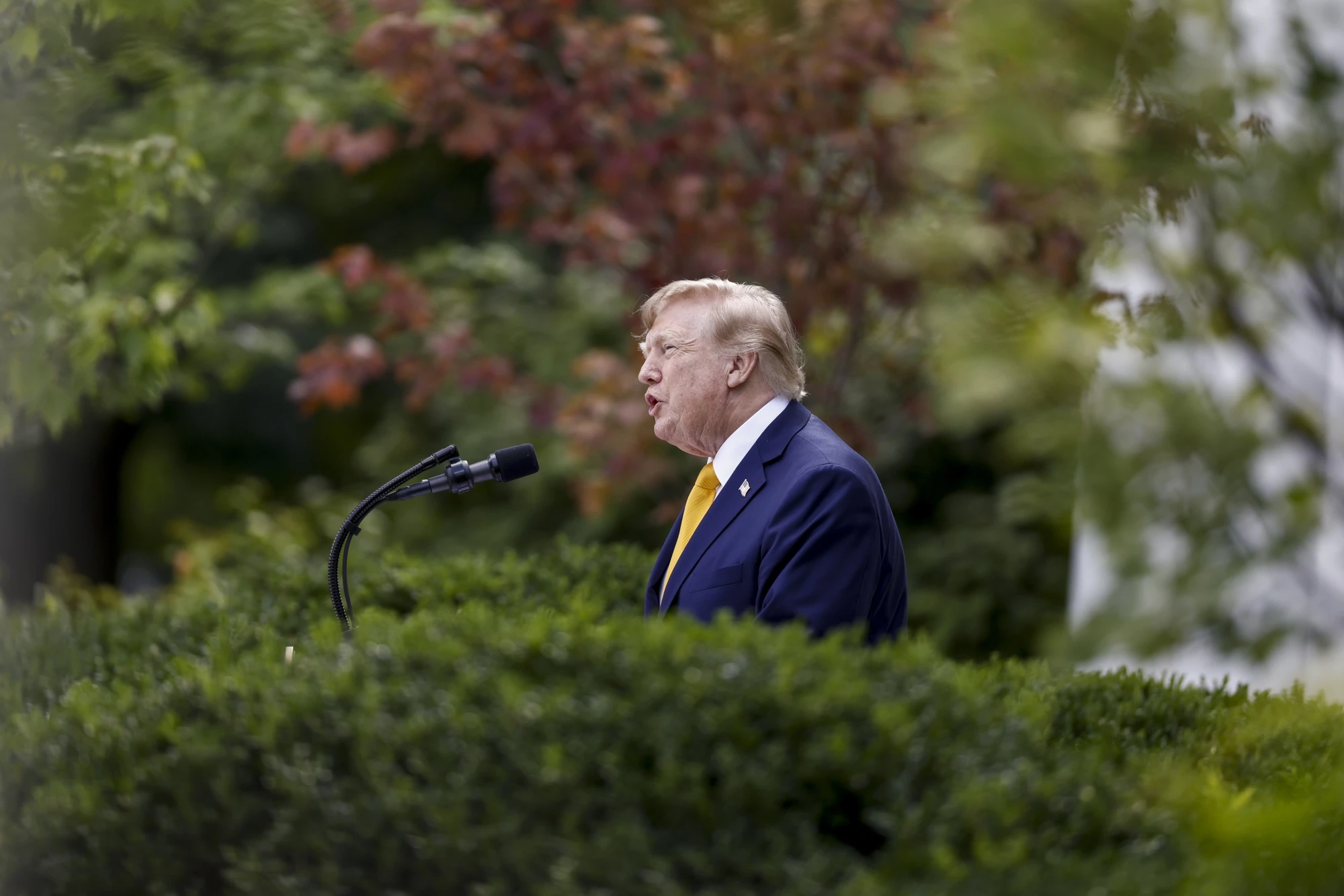 Дональд Трамп